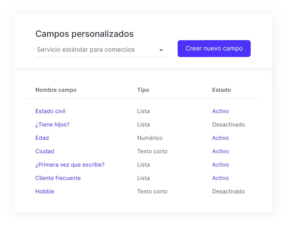 b2chat custom fields panel