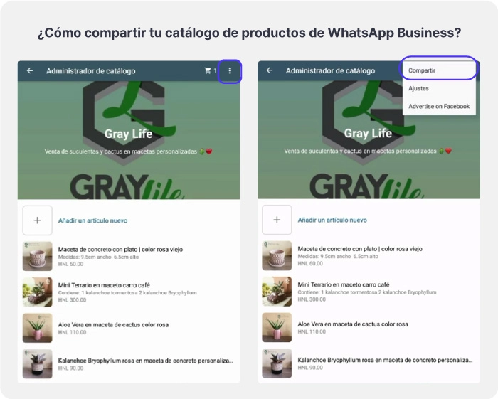 Diagrama de como compartir tu catálogo de WhatsApp