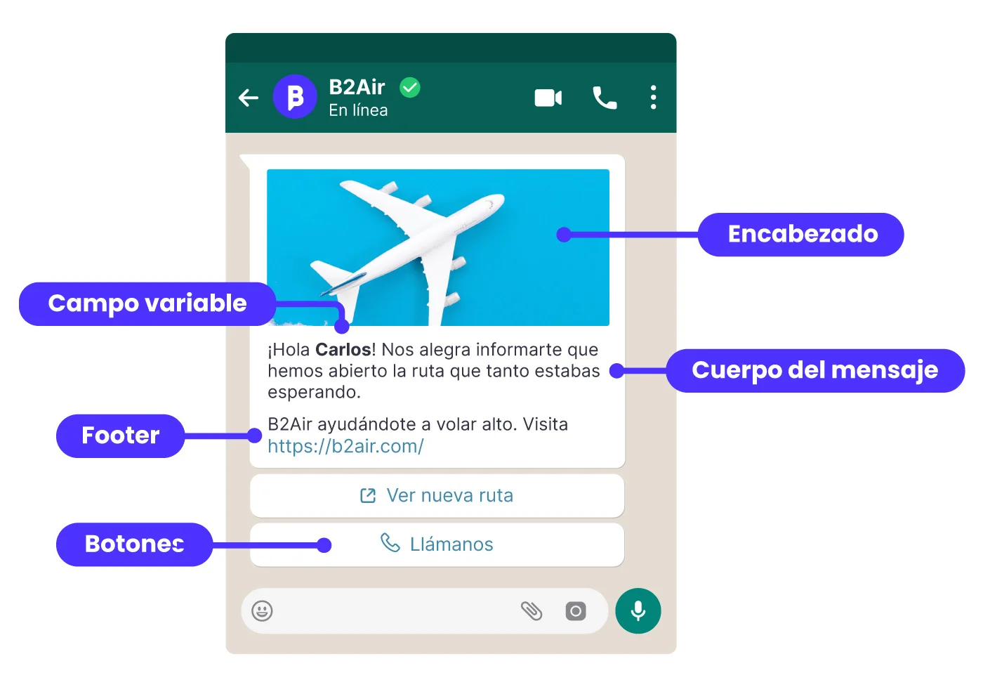 Plantilla para envíos masivos de WhatsApp