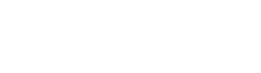 logo flashy