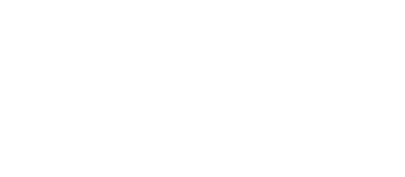 logo flashy